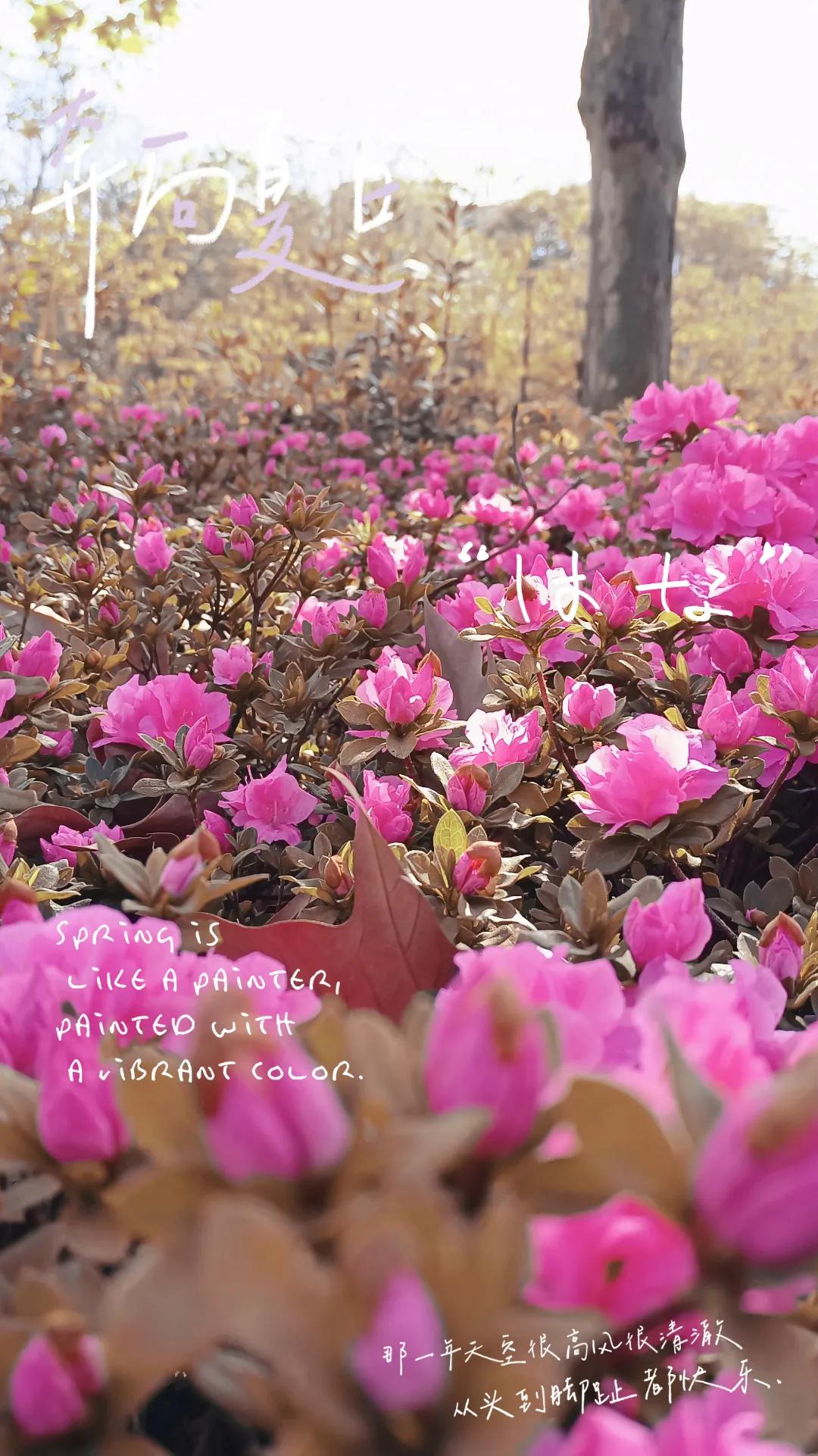 为什么选择西南财经大学天府学院？