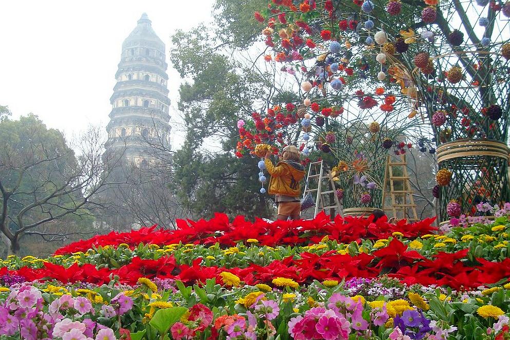 苏州旅游十大赏花景点,苏州赏花最佳景区排名