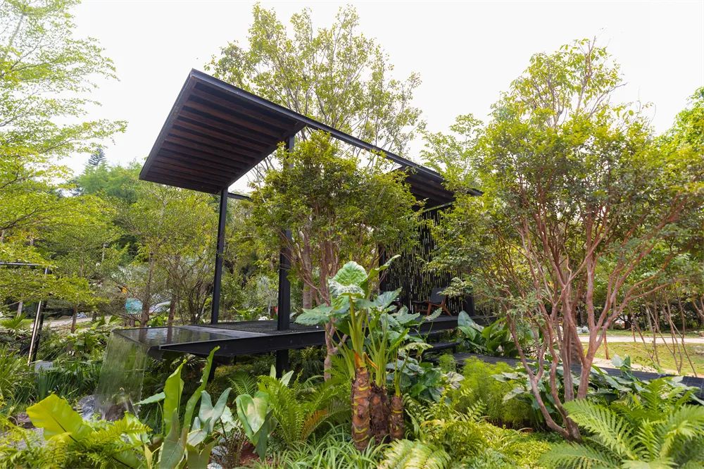 切尔西花展最佳展示花园奖,切尔西花展获奖作品