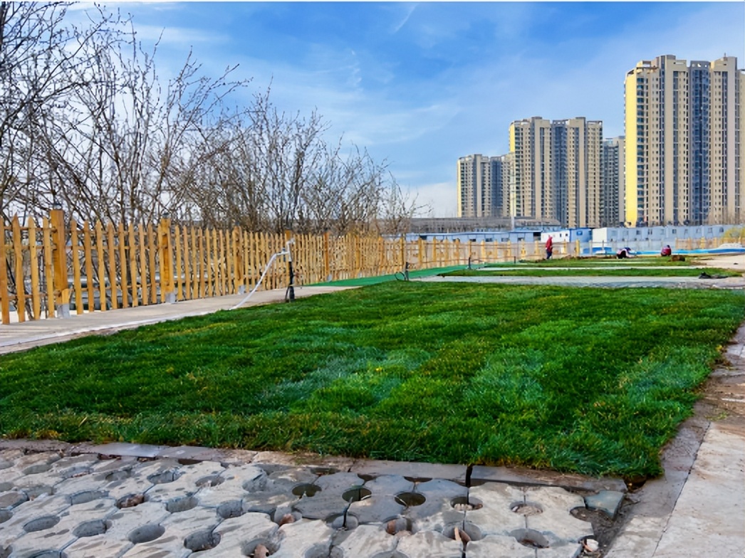 天津房车公园露营基地,一张天幕露营