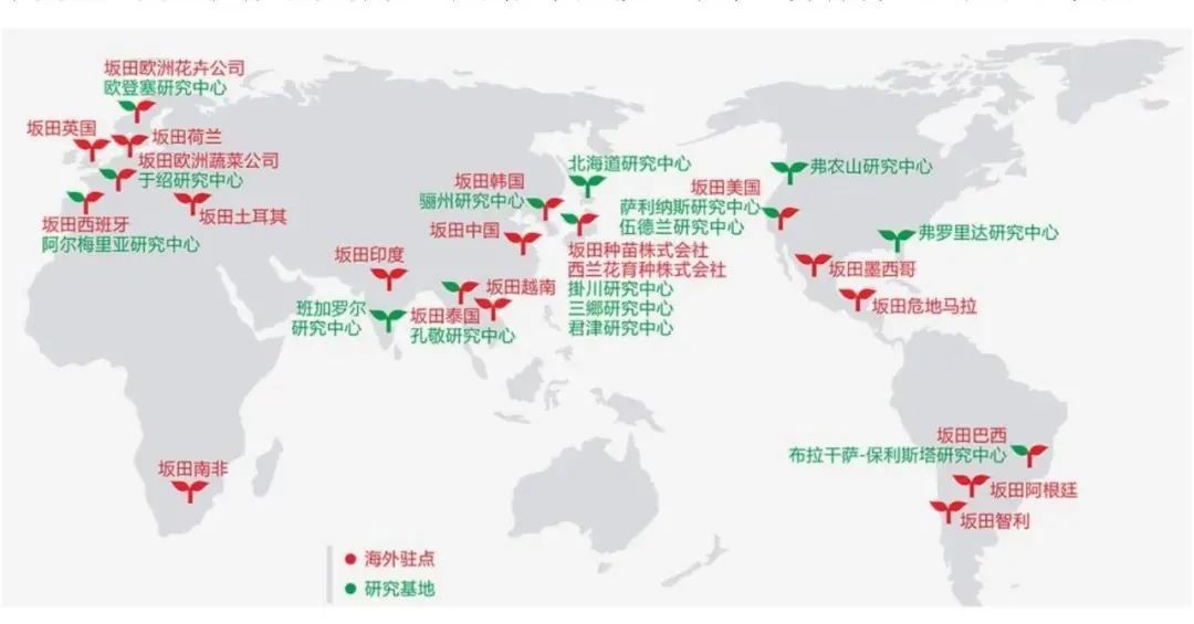 【农科智库原创报告】全球种业重点企业扫描——日本坂田集团