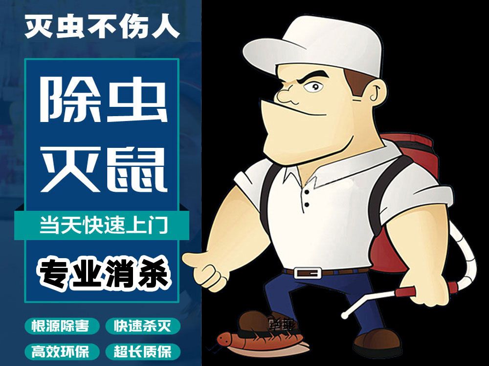 如何有效消灭家里的蟑螂,家里蟑螂多灭蟑螂的方法是什么