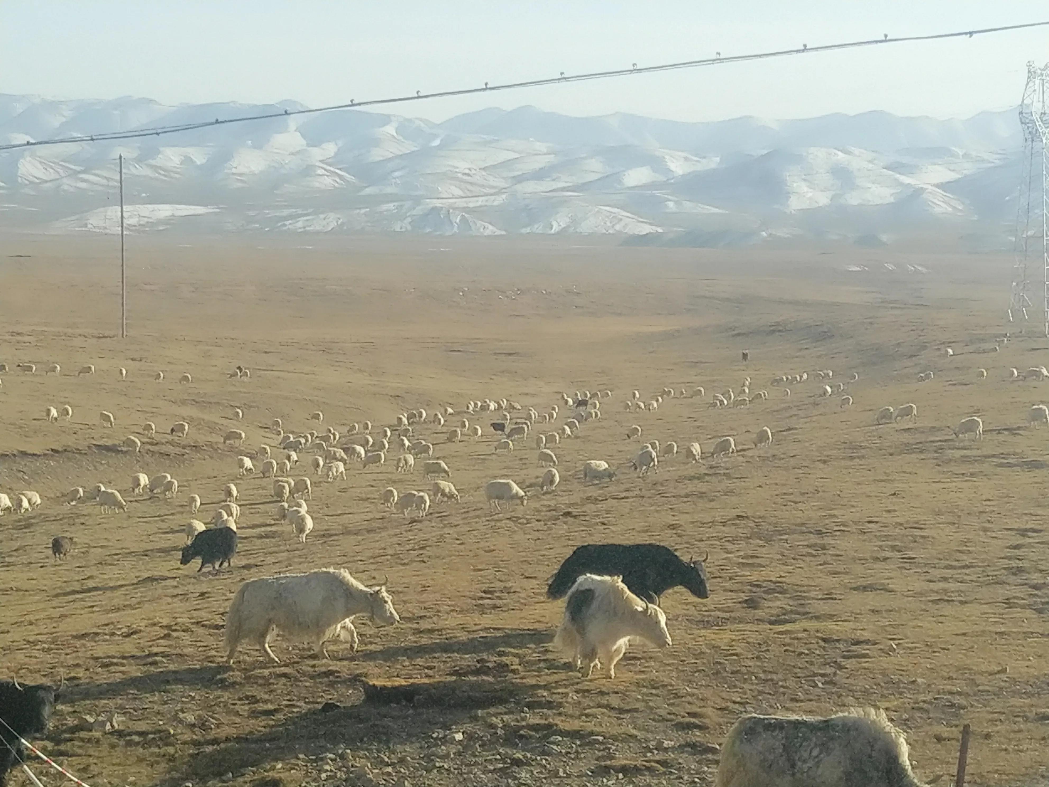 从甘肃翻越祁连山到青海,从肃北到青海沿途风景