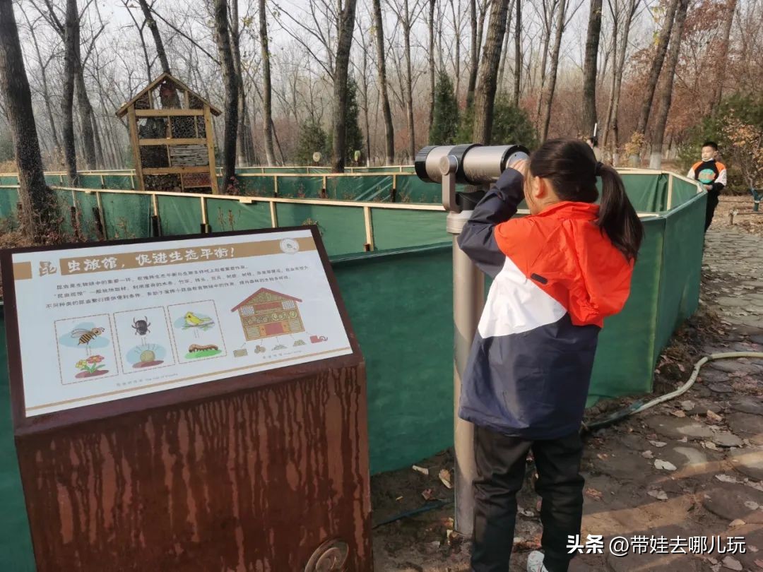 在森林公园里玩耍,中国可以骑行的森林公园