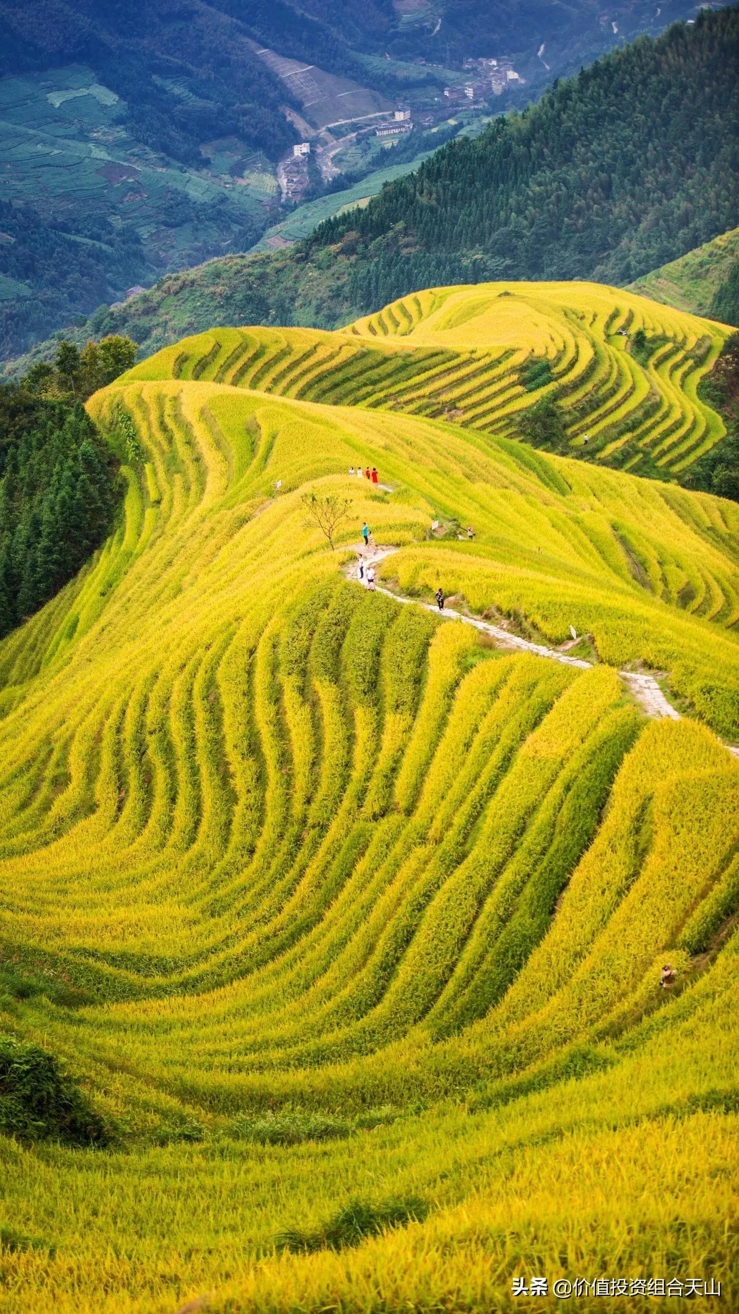 低估的股票应该如何投资,投资股票需要看懂的几个重要指标