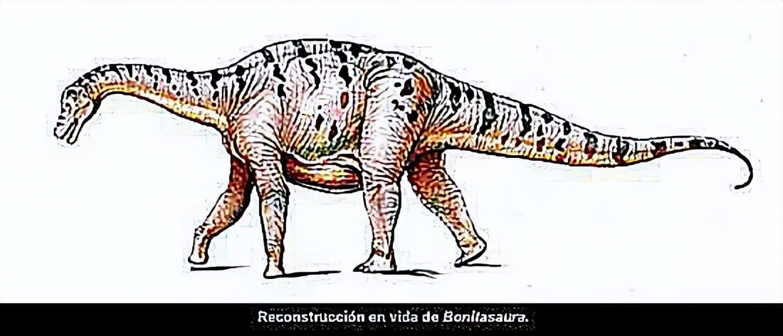 泰坦巨龙图片从哪来的,泰坦巨龙恐龙图片和简介