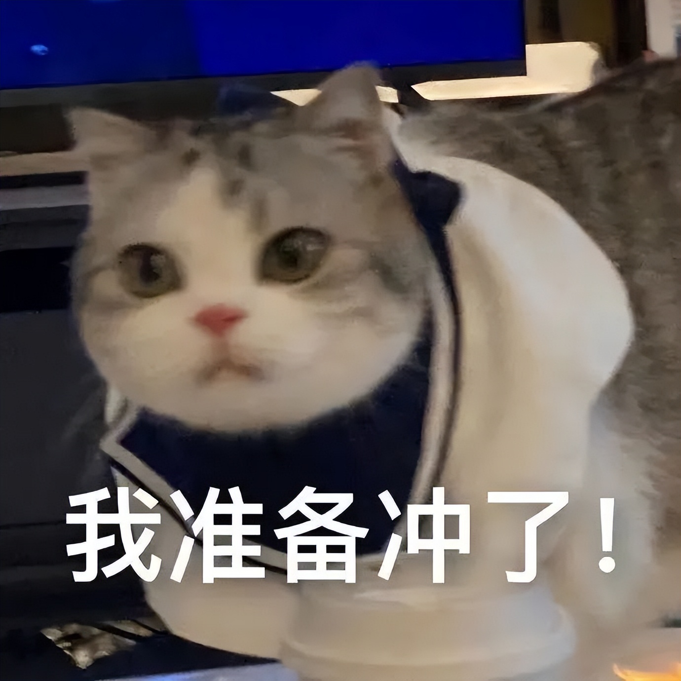 雅思备考的学习方法,适合学雅思听的播客