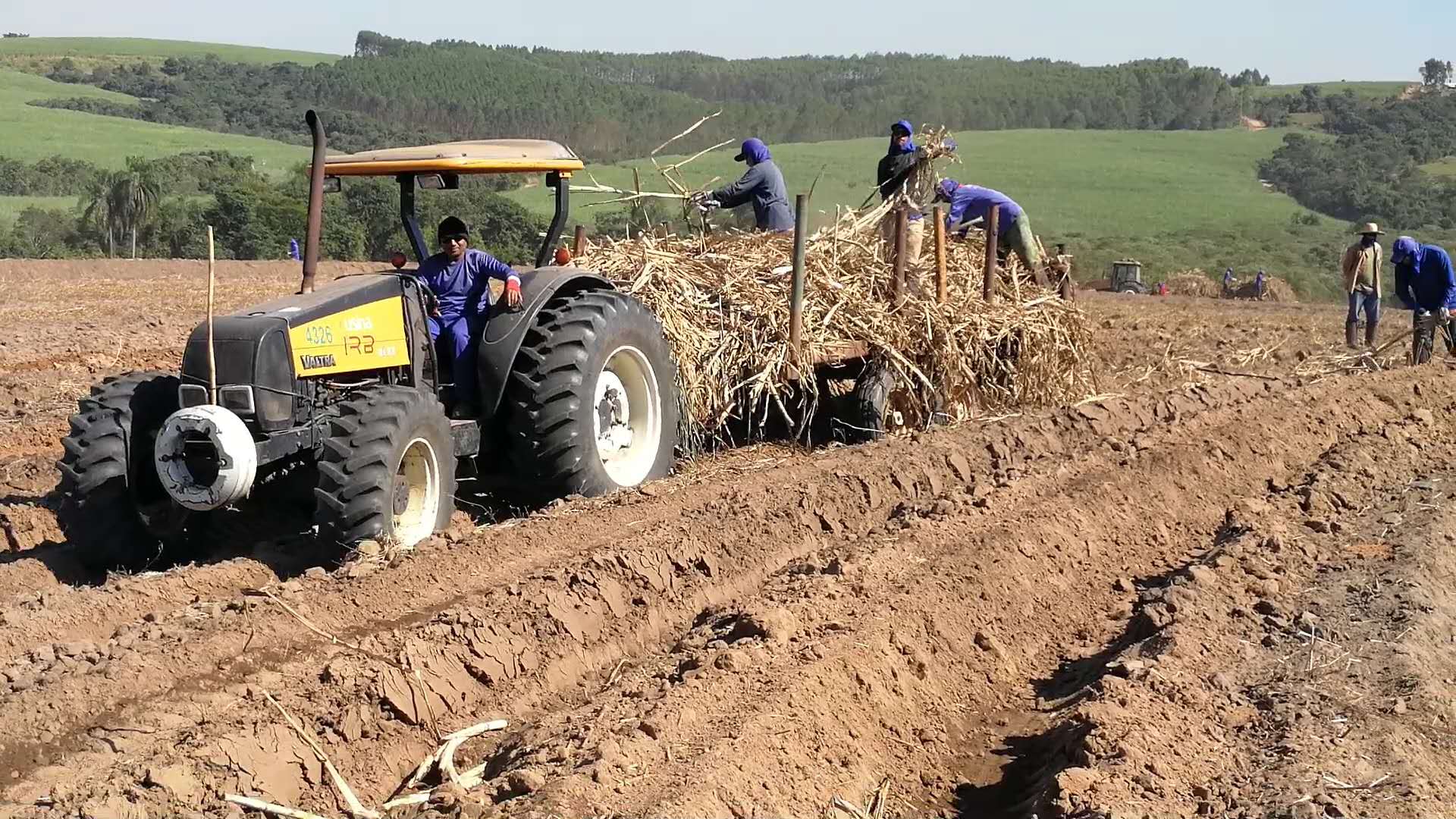 一国一品走进拉美,一国一品