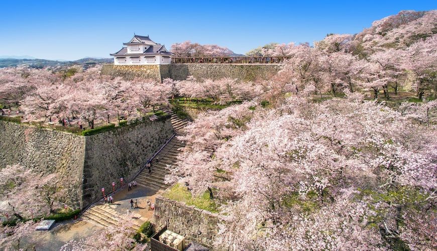 冈山津山,冈山区景点