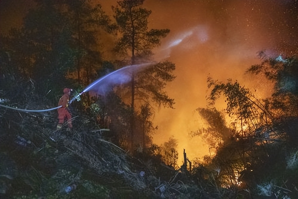 重庆龙麻子的父母去哪了,龙麻子家里人去世