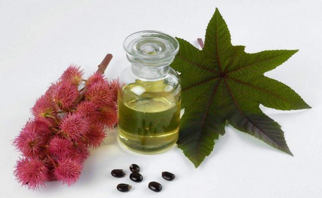 蓖麻子为什么成为了战略物资,美国将蓖麻列为战略物资