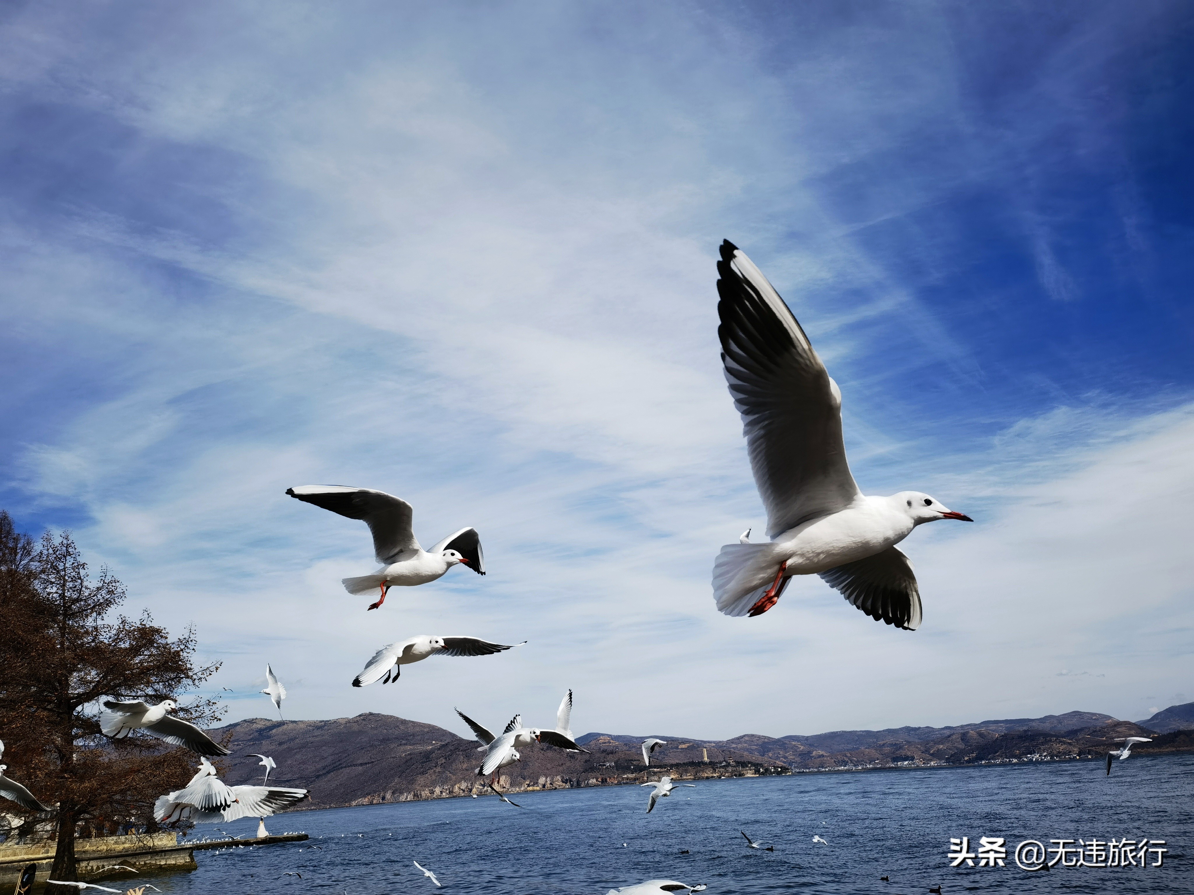 大理洱海龙龛码头看日出,大理洱海龙龛古渡风景