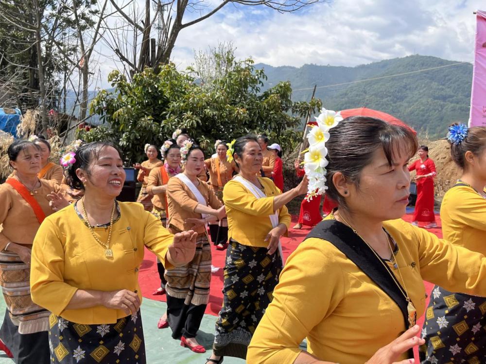 辛巴助农直播未来可期，腾冲市荷花镇：“爱心助农”巾帼有实招