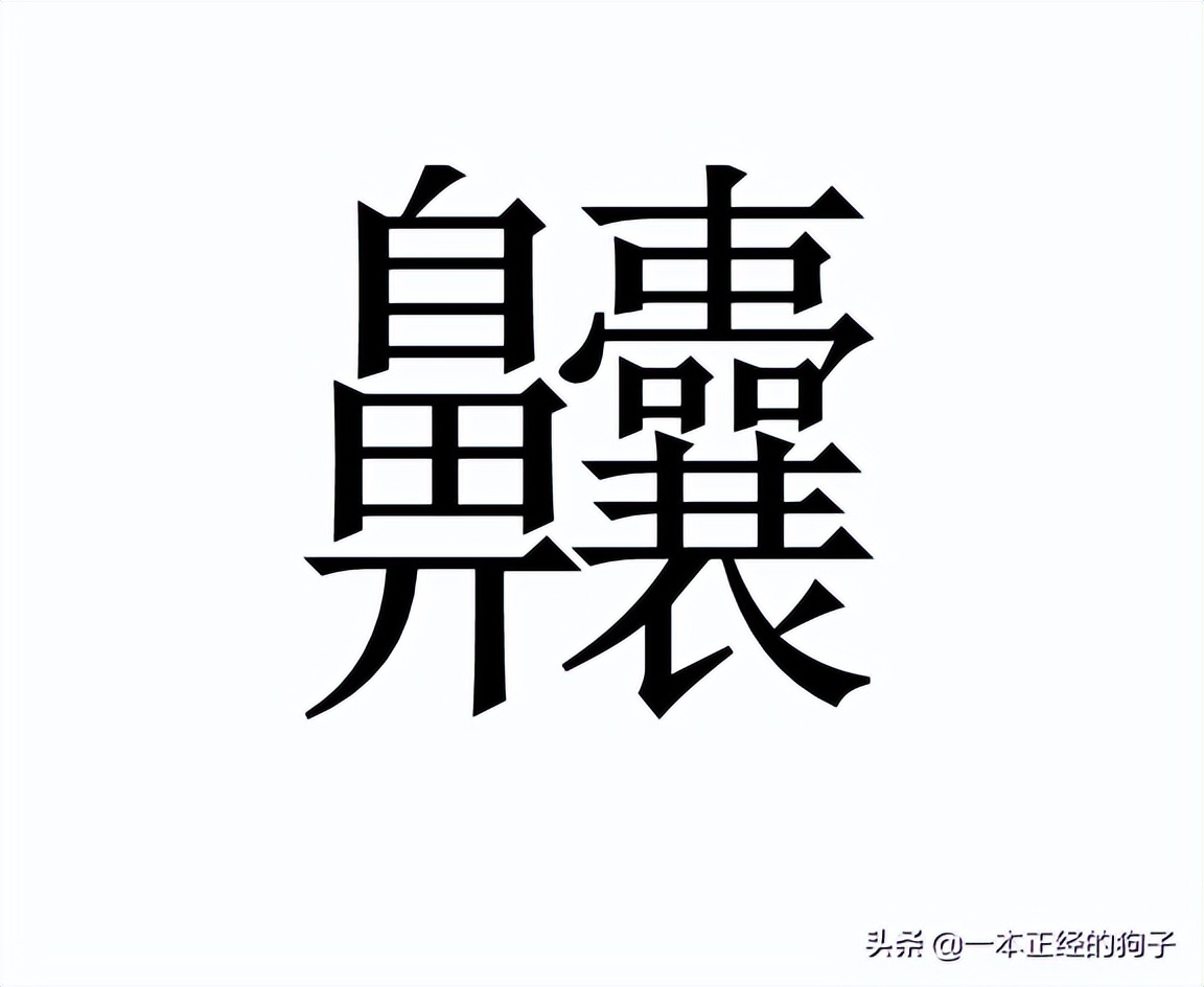 笔画最多的汉字172画怎么写,笔画最多的一个汉字172画怎么记