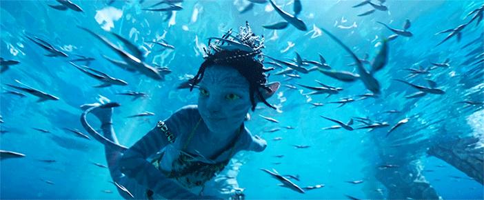 阿凡达2是赚了还是赔了,阿凡达二回顾