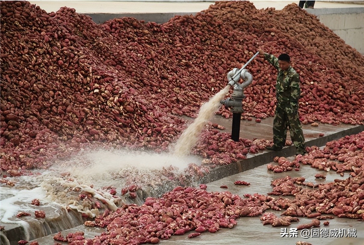 2023投资淀粉加工厂，参观了解买设备的最佳时机是什么时候？