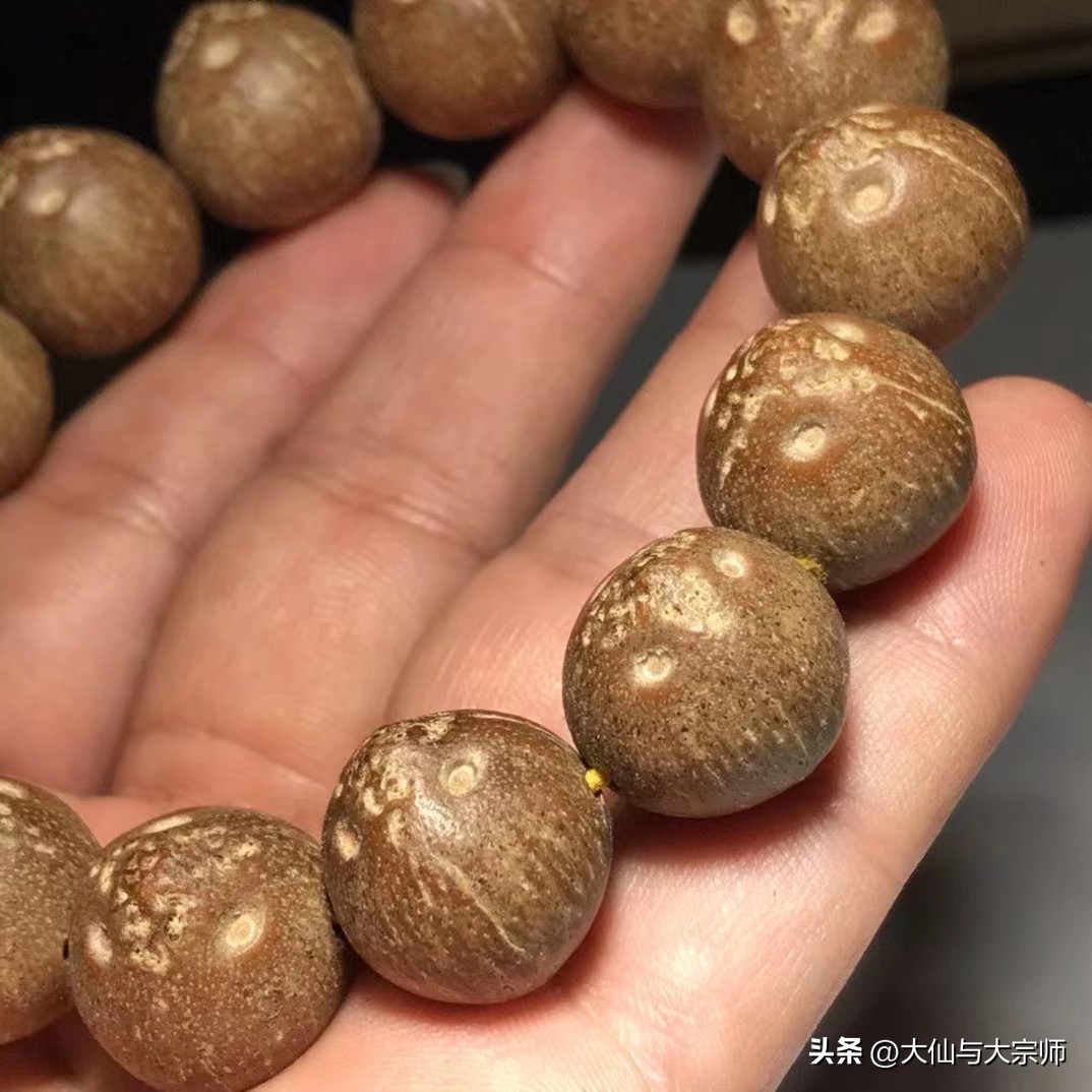 十八籽菩提手串,100种菩提品种