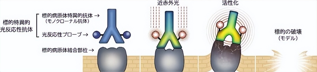 日本科学家免疫治疗,日本东京慈惠会医科大学附属医院