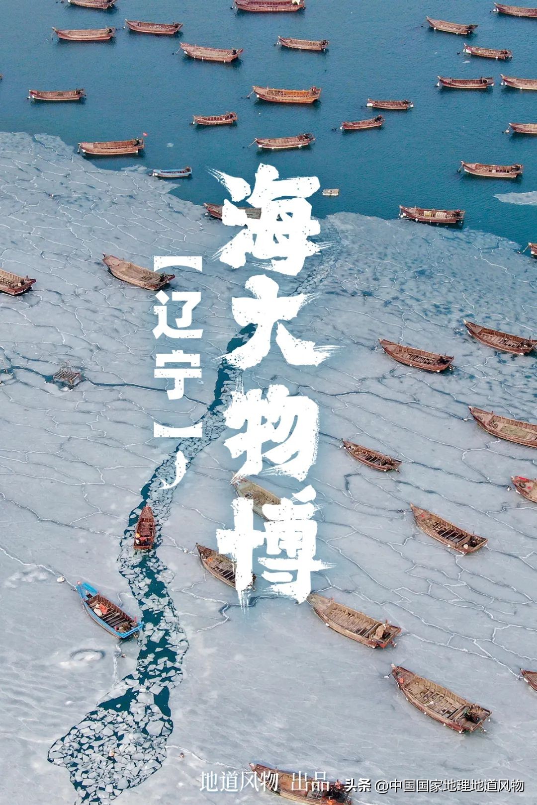 辽宁哪个地方的海鲜最好,辽宁各市都有啥海鲜