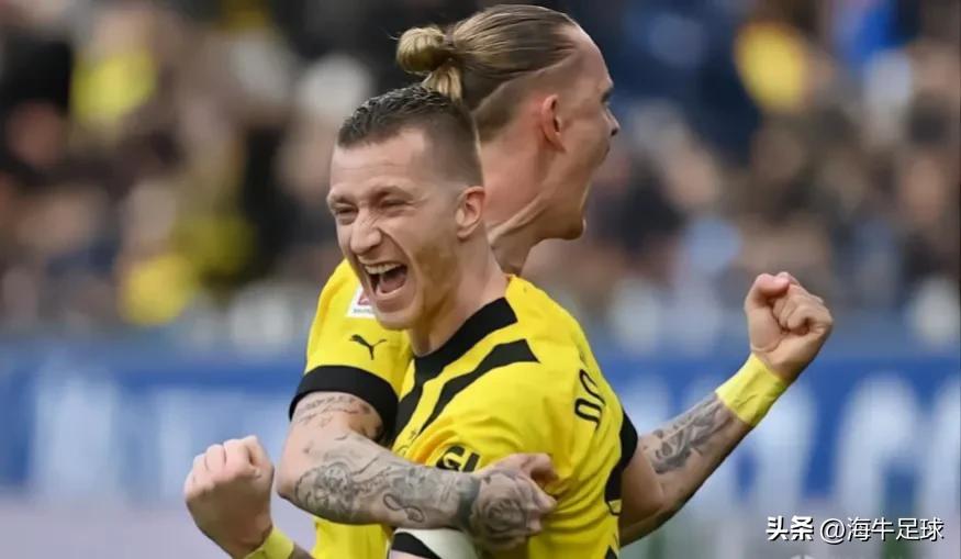 多特痛失冠军视频,拜仁绝杀多特蒙德罗伊斯