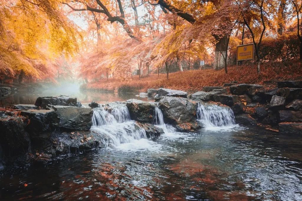 你几月出生就是什么命太准了,几月生是水命人