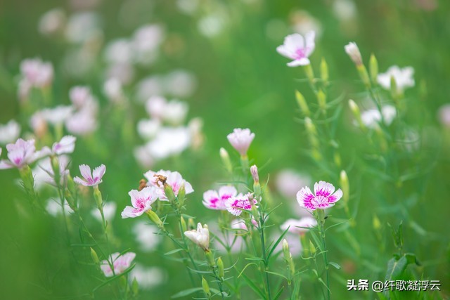 濂冲ぇ瀛︾敓鐖变笂鏈夊か涔嬪,濂冲瓙鍚屽鑱氫細閬囧垵鎭嬮伃鐜板満鎶涘純