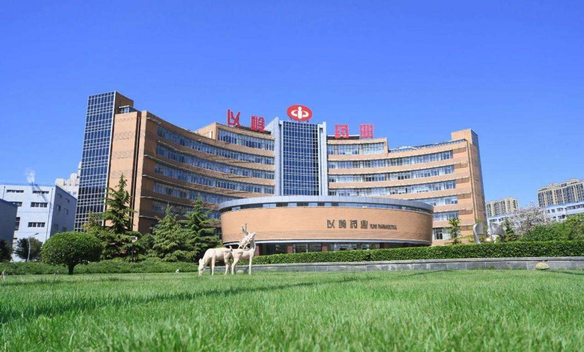 中医药概念龙头股,中医药行业龙头股