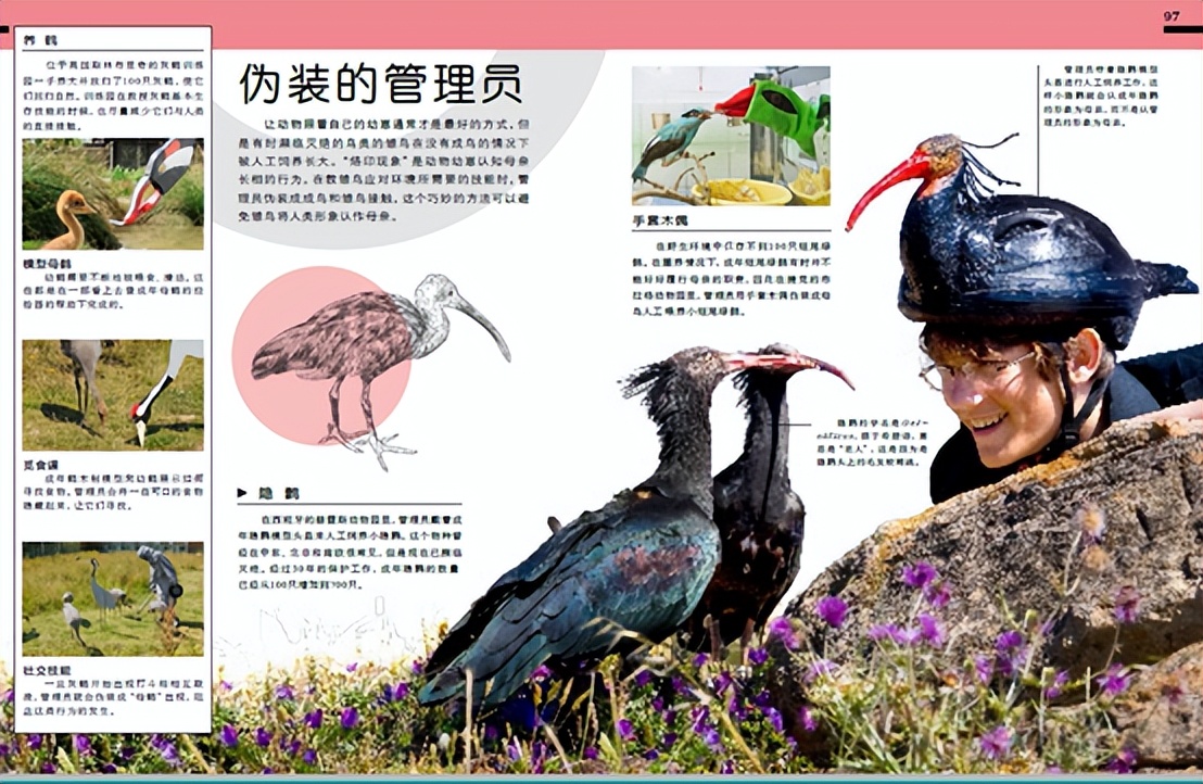 dk动物园全套,dk揭秘动物王国的奥秘