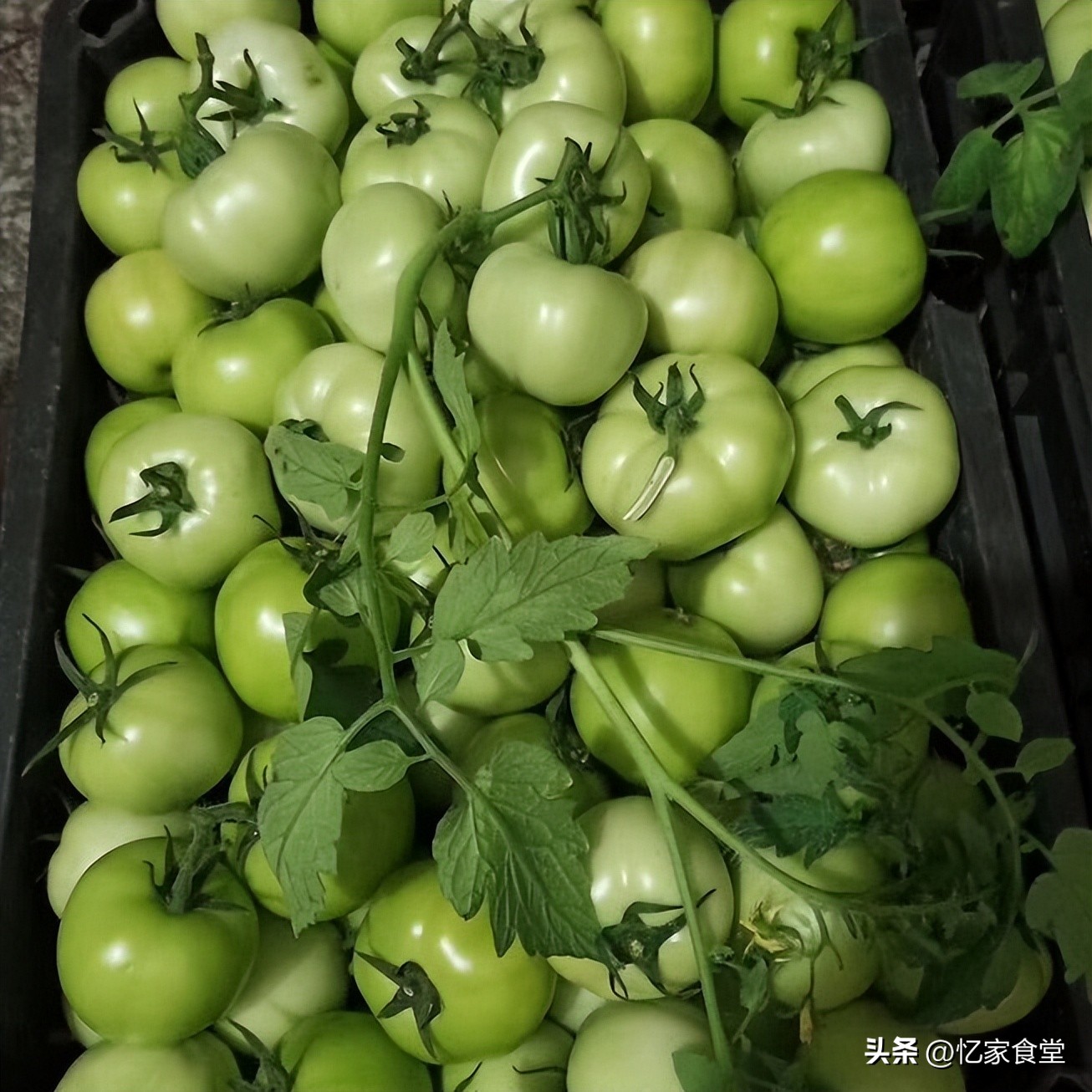 湖南女子在山东买了10元的菜，被婆婆吐槽败家，网友：没见过世面