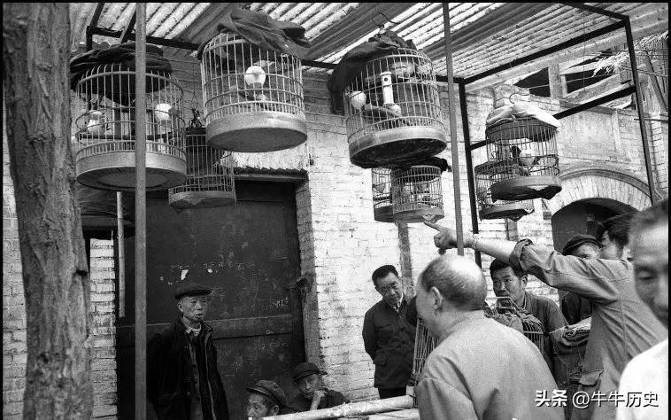 男人藏品,男子收藏罕见100元纸币