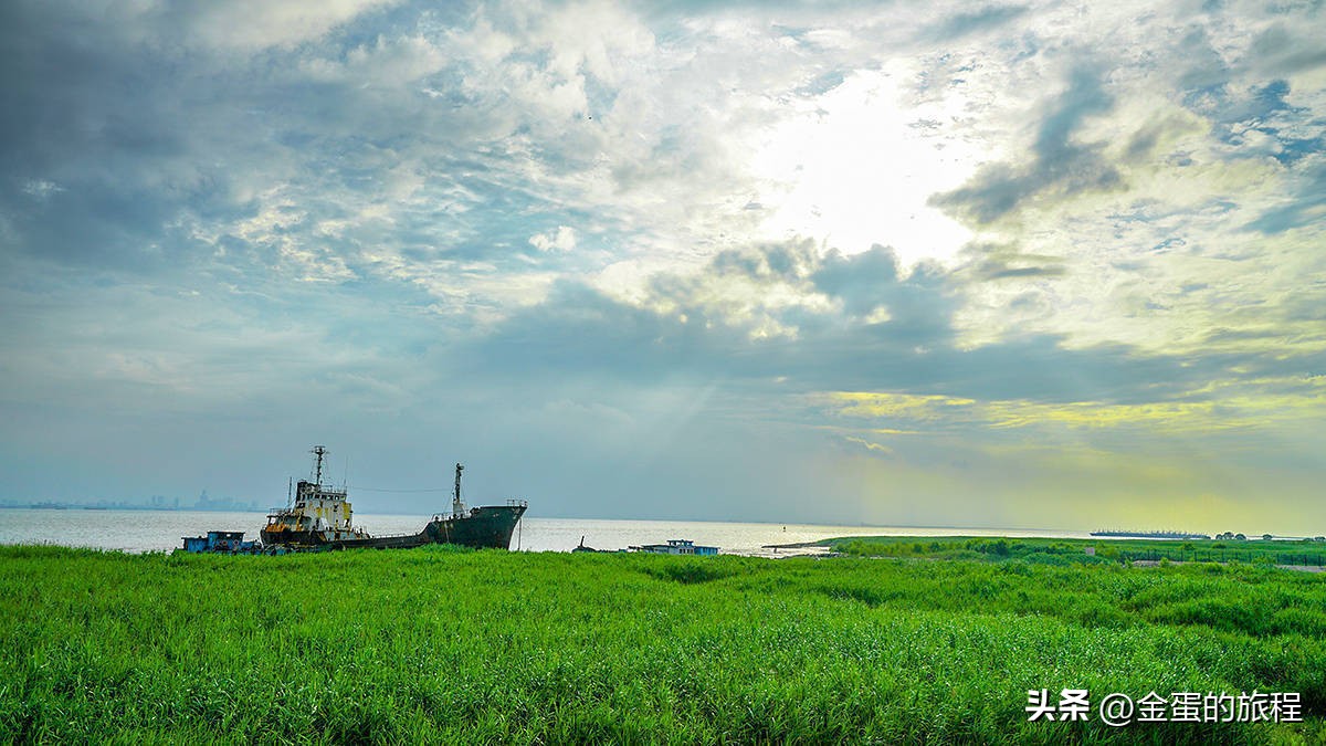 长江出海口的上海，被自然力量所艺术创造，也有一棵“大地之树”