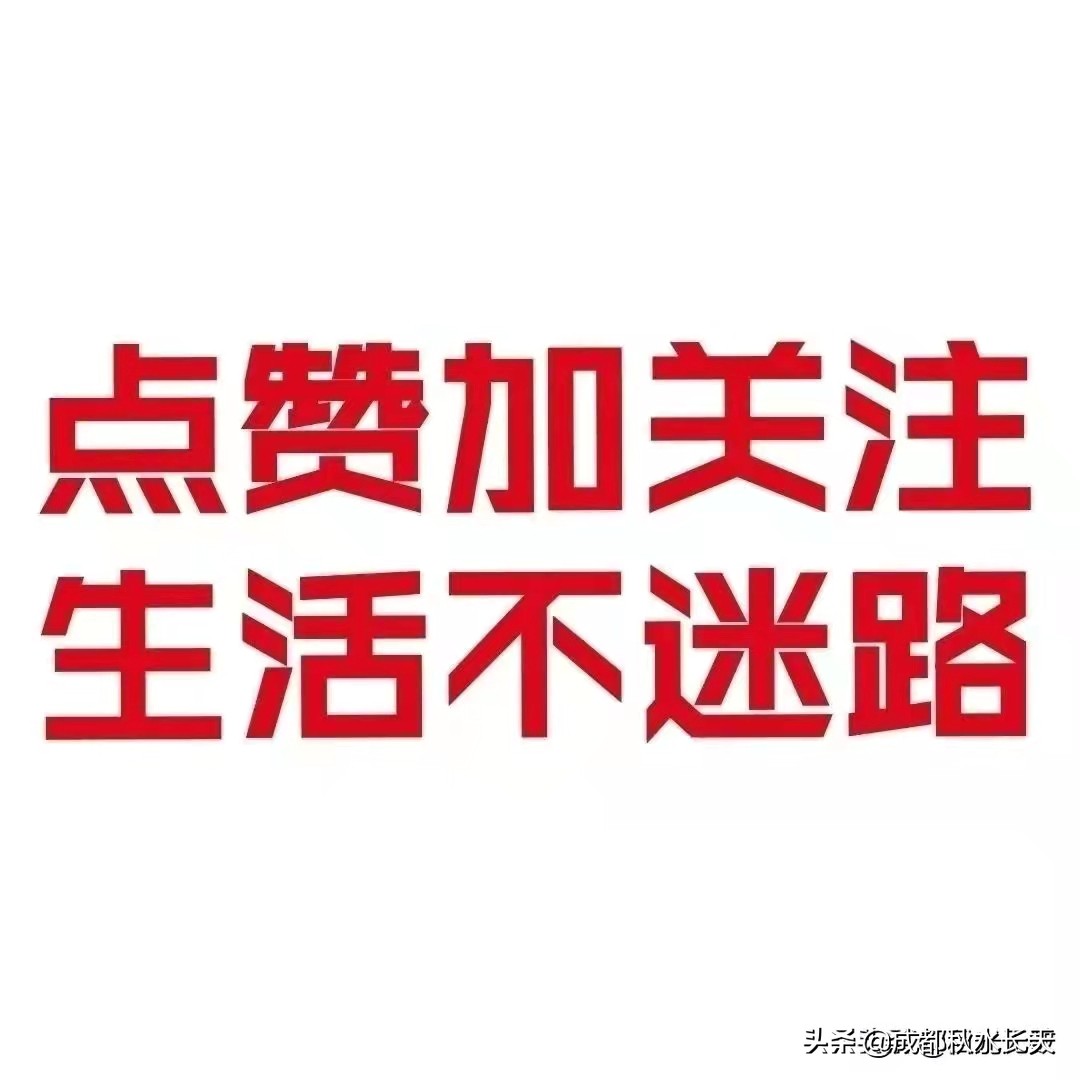 诗与远方原文及感悟,诗与远方深度分析