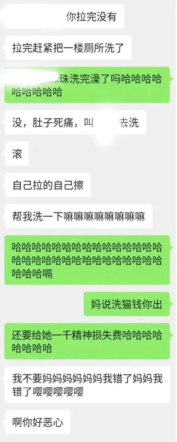 我哥窜稀，喷了我家猫一头粑粑！猫：我屎到淋头了...