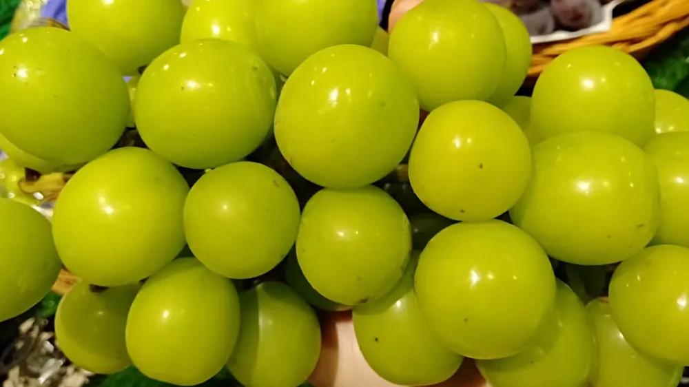 水果店一月毛利点怎么计算,水果店30%的毛利怎么算纯利润