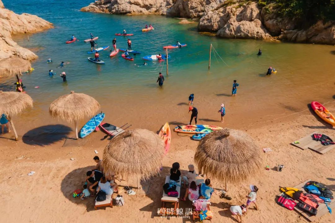 大连最美夏夜打开方式,大连最美时节