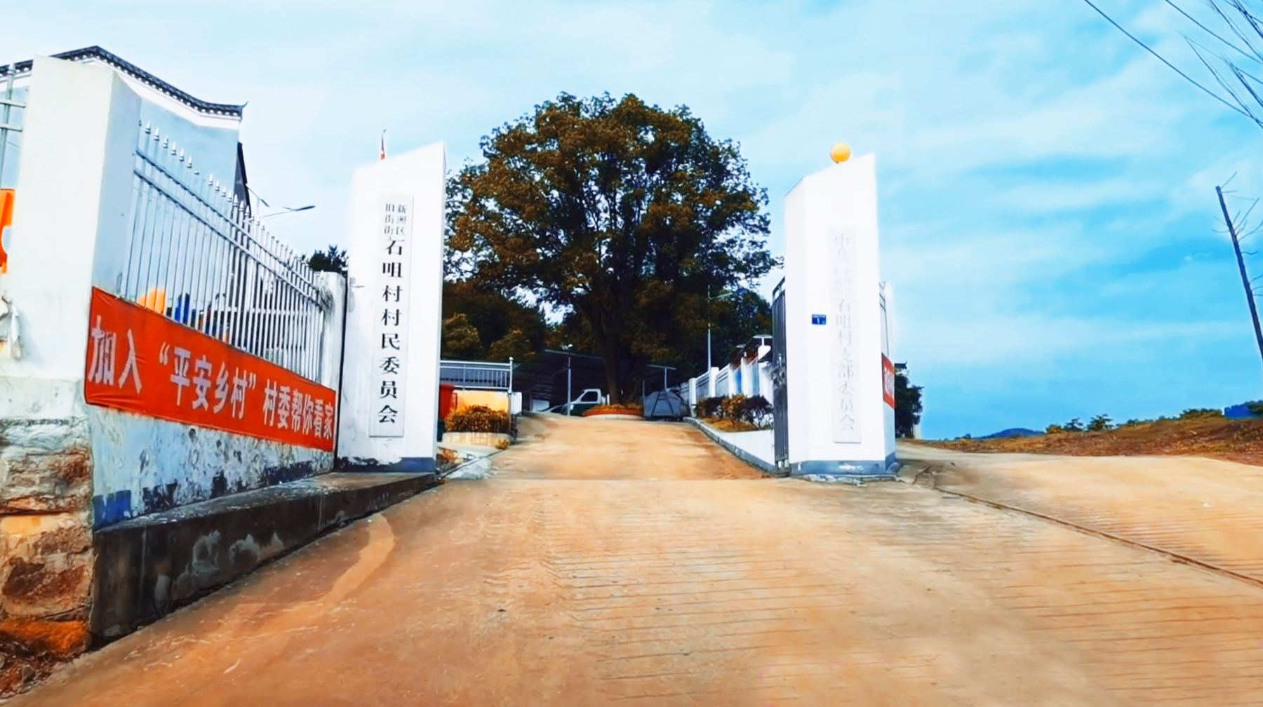 以产白茶为名，随拍武汉新洲这座美丽乡村，如山明水秀的世外桃源