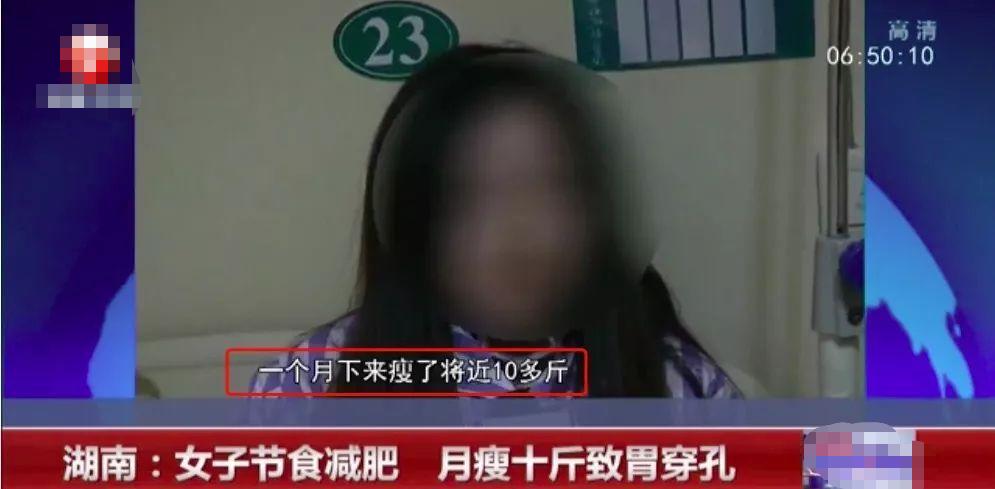 新晋网红电子小猪,网红电子小猪是怎么火的