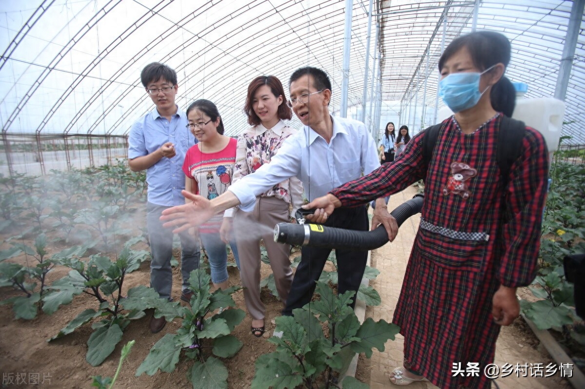 蔬菜有虫子不用打药怎么治,蔬菜生虫子怎么消灭