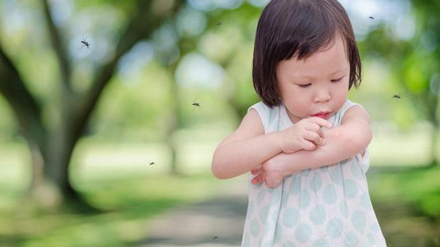 被蚊子咬快速止痒小妙招,蚊子咬的痒吃什么药止痒