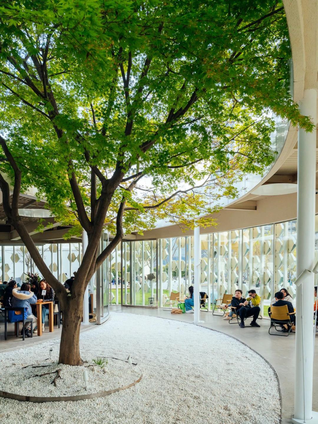 魔都宠物天地,魔都周边宠物友好景区