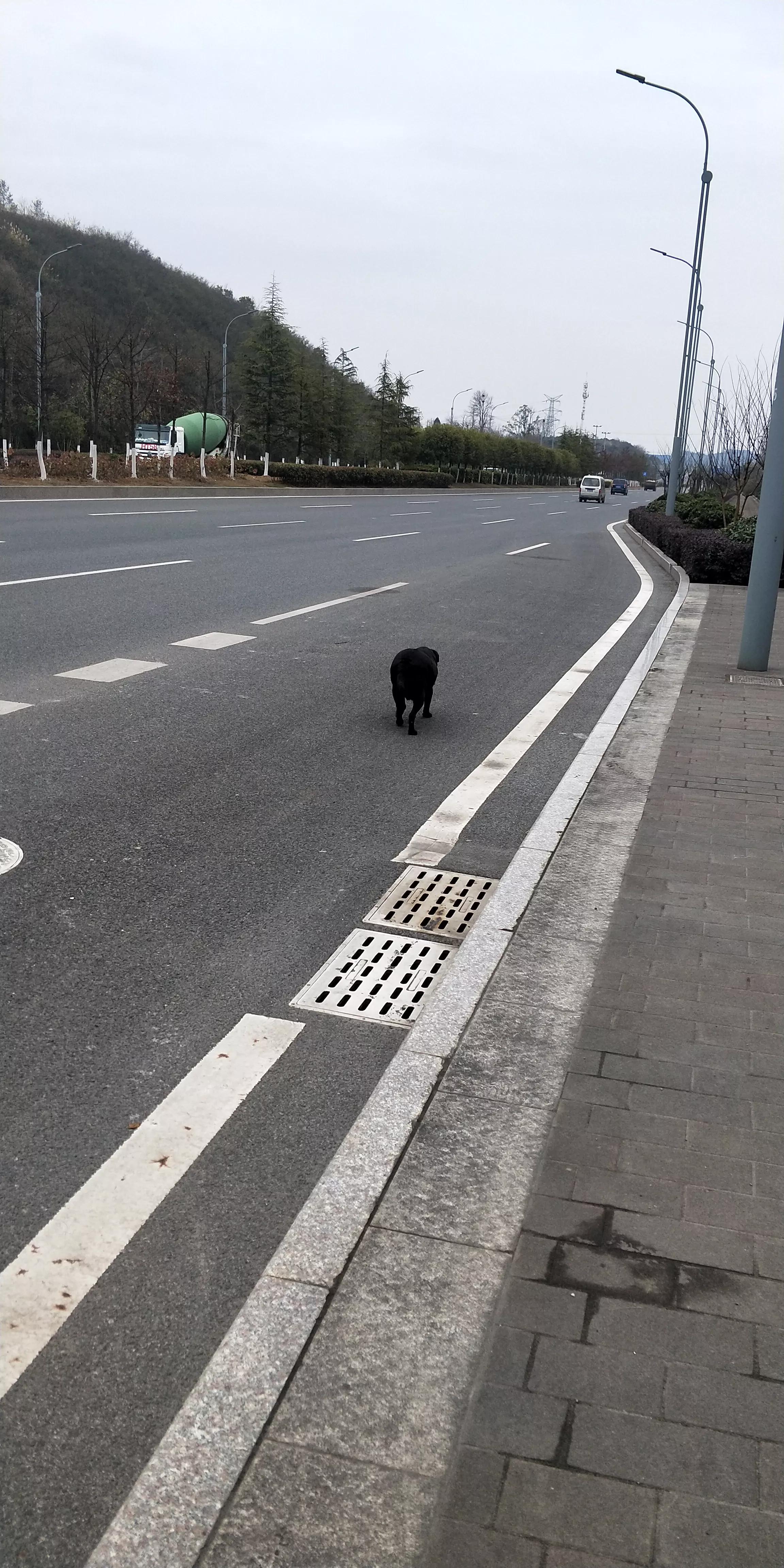 我27岁一事无成很迷茫说说,27岁的我陷入了找工作的迷茫期