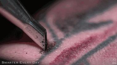 洗纹身科普,科普知识洗纹身