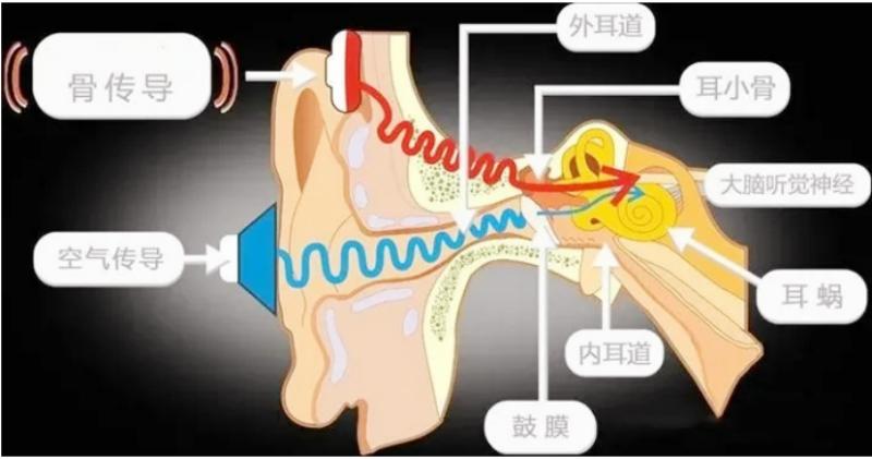 sanagz36spromax蓝牙耳机评测,sanag耳机z65s