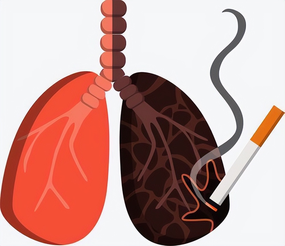 全球no.1顶级雪茄最贵的价格,782万的雪茄