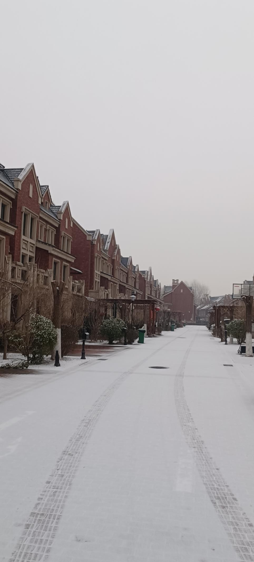 群诗：诗情物语春雪里（19首）