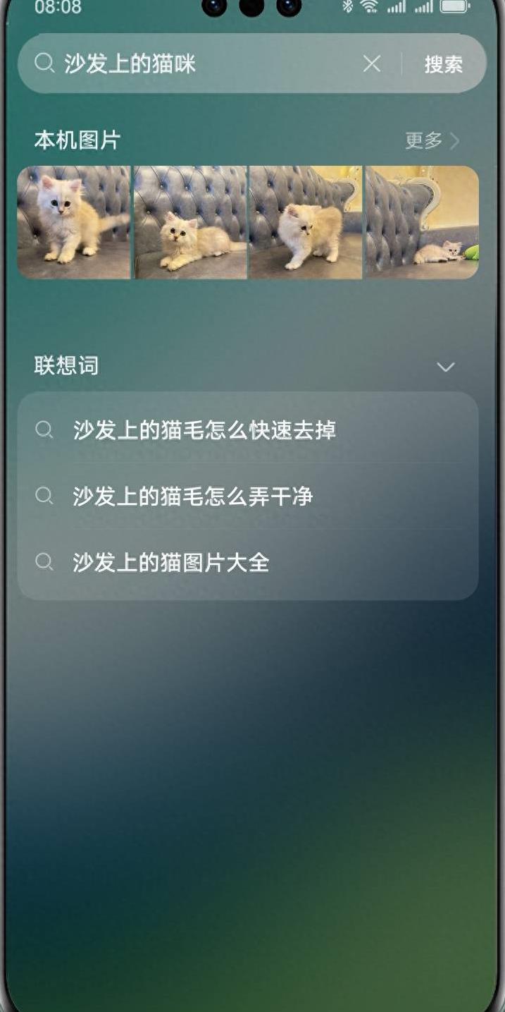 触达手机每一处的华为智慧搜索，帮助长辈更好地使用手机