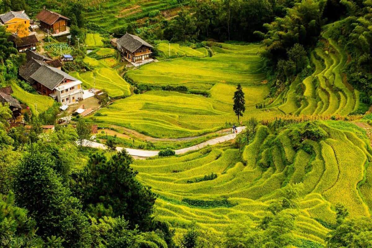 性侵案件证据标准薄弱,性侵案件证据审查