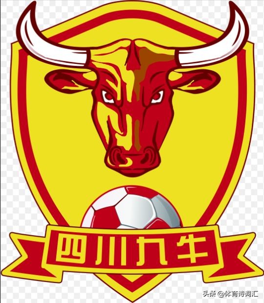 四川九牛城市足球集团,四川九牛还和城市集团有关吗
