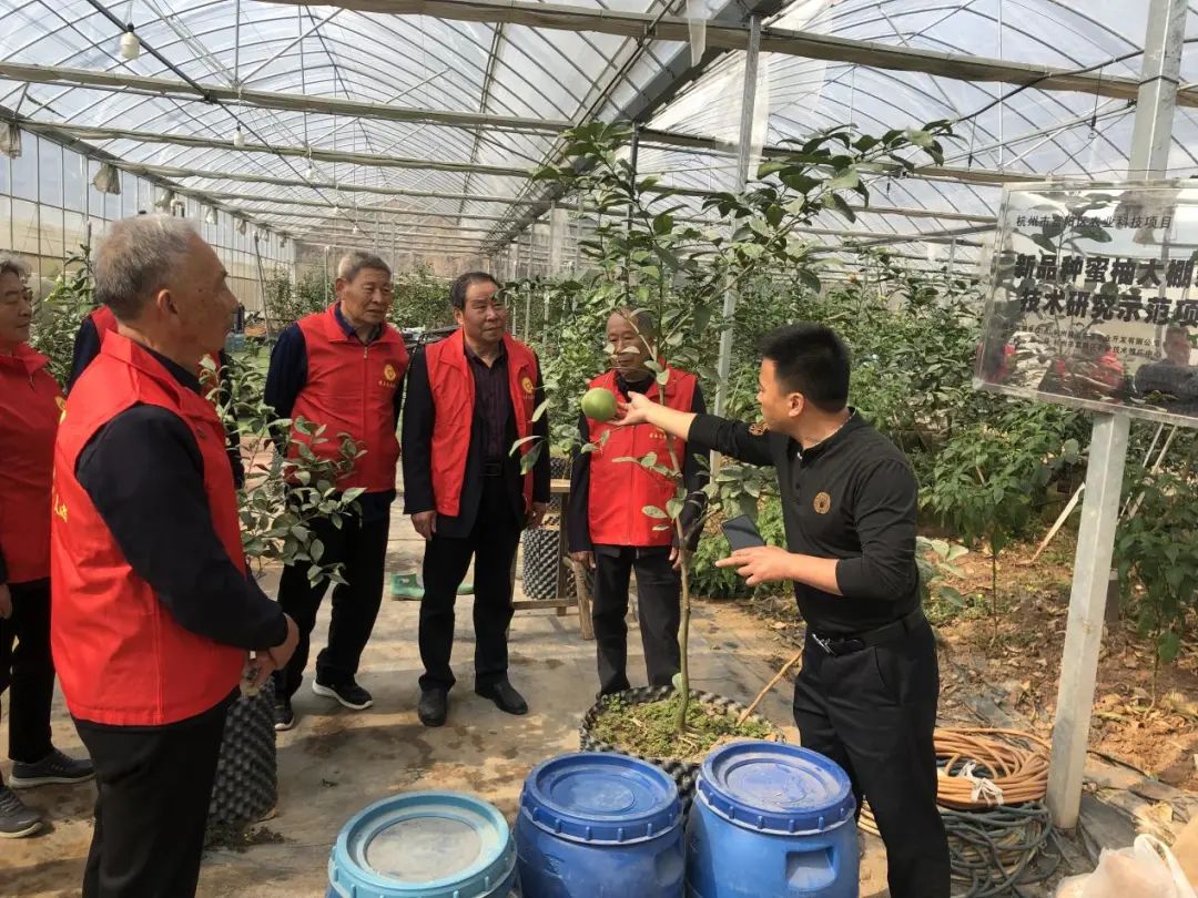 奋进新征程礼堂大学习|杭州各文化礼堂掀起学习*党**的二十大精神热潮⑦