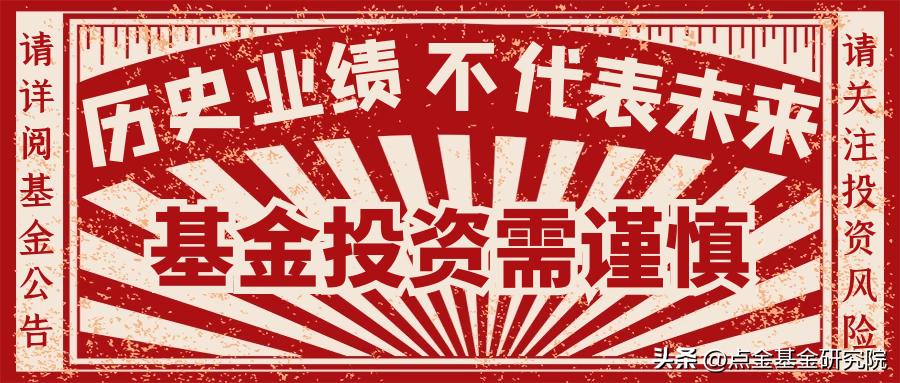 债券基金怎么看亏了,债券基金亏了怎么办